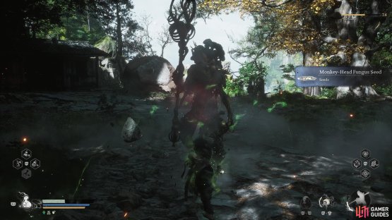 to find the Fungiwoman