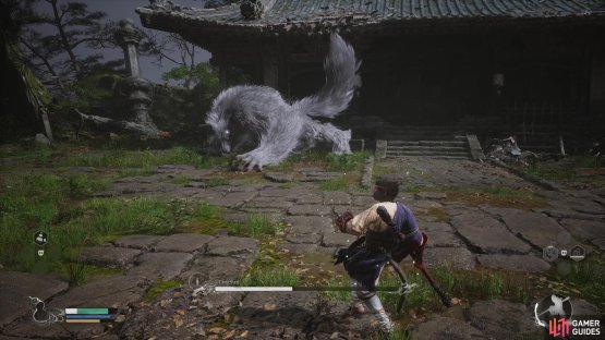 to find the Lingxuzi boss.