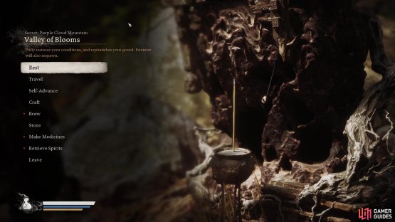 Head to the Valley of Blooms Shrine