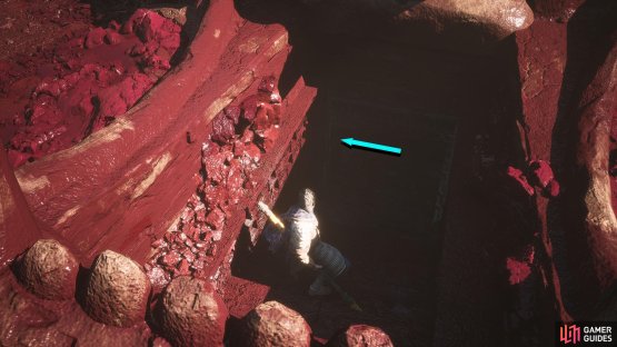 This will drain the pool of blood and reveal a hidden entrance.