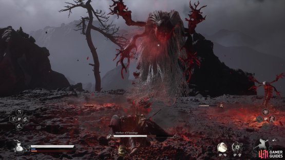 to find the Mother of Flamlings