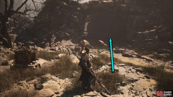 Go into the cave to the right of the Shrine.
