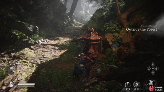 Start at the Outside the Forest Shrine