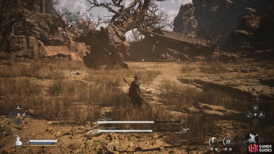to find the Stone Vanguard