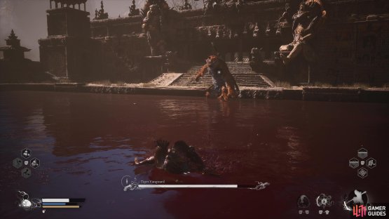 to find the Tiger Vanguard.