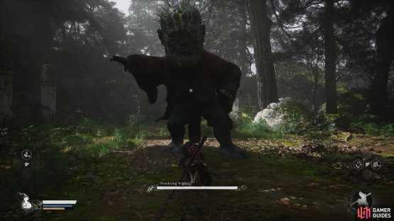 and defeat the Wandering Wight to claim its spirit