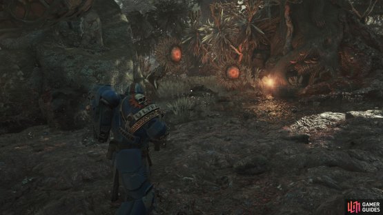 After you reach the swamp, note some flowers to the left,
