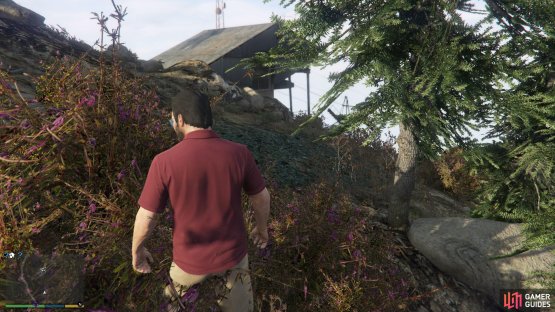 to find the epsilon tract sitting by a tree.