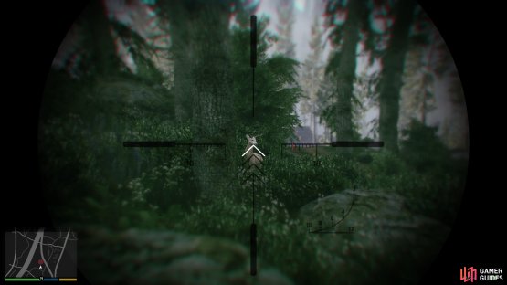 Take one Elk out from a distance