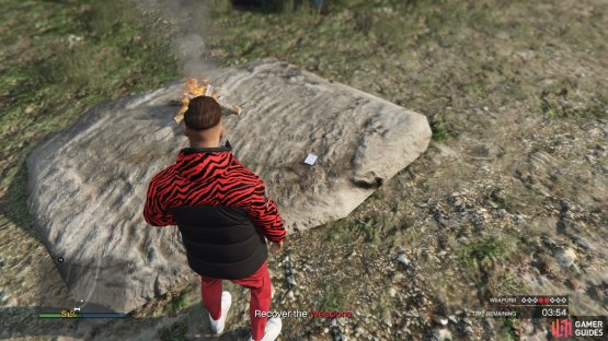 to find the Playing Card sitting on the rock. 
