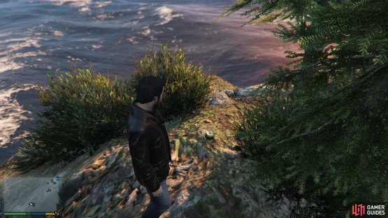 to find the peyote plant sitting on a small island. 