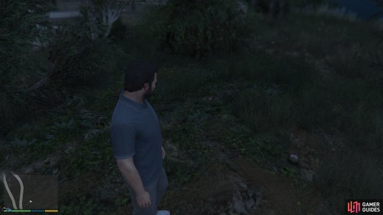 to find the peyote plant sitting by a tree on the outside of the car park. 