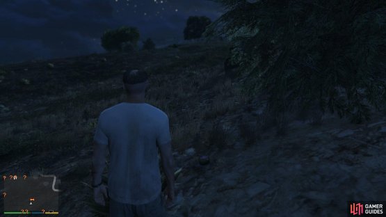to find the peyote plant sitting up on the hill. 