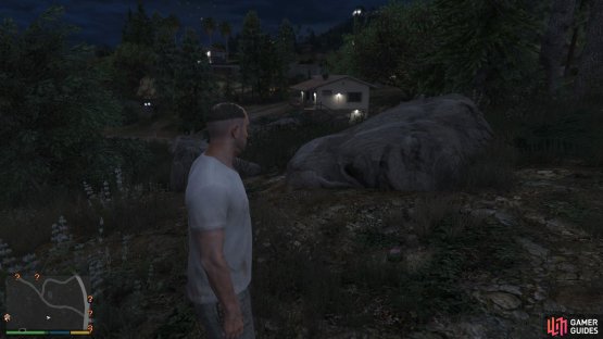 to find the peyote plant sitting by a rock.