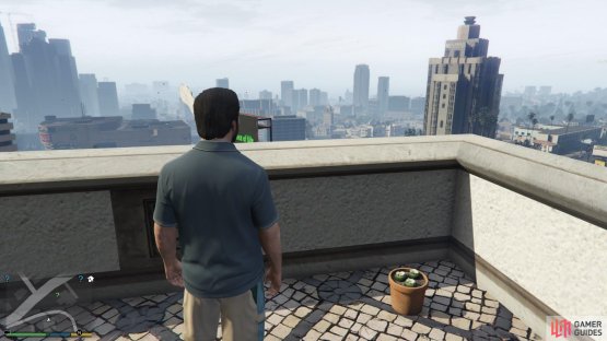 to find the peyote plant sitting up on a rooftop