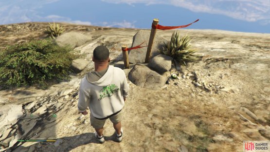 to find the peyote plant sitting near a small red flag.