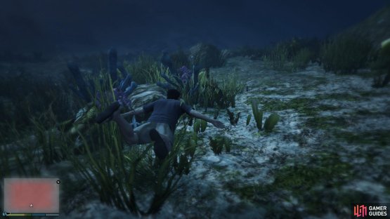to find the peyote plant sitting on the seabed.