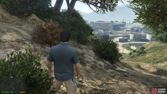 to find the peyote plant sitting by a tree.