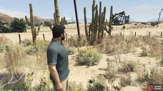 to find the peyote plant sitting by a cactus. 