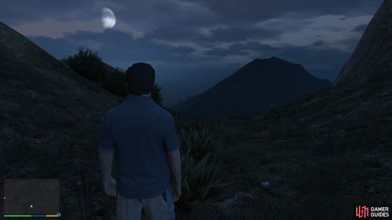 to find the peyote plant sitting up on the mountain. 