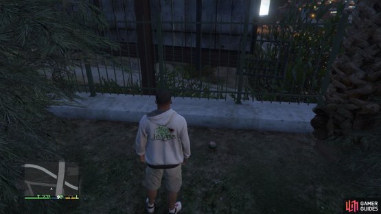 to find the peyote plant sitting by the fence. 