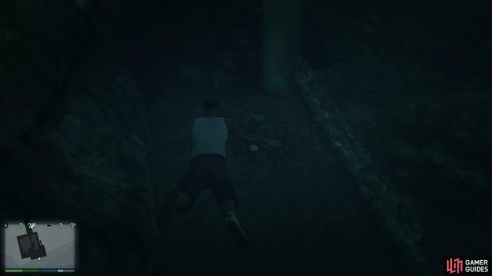 to find the peyote plant sitting below the pier.