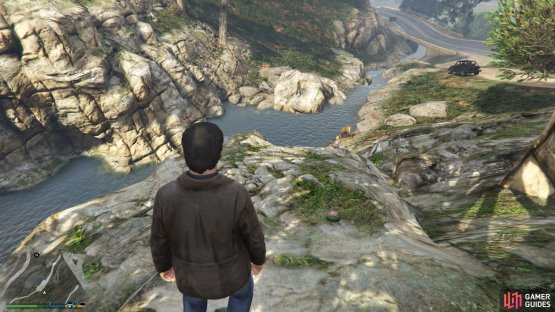to find the peyote plant sitting by a waterfall.