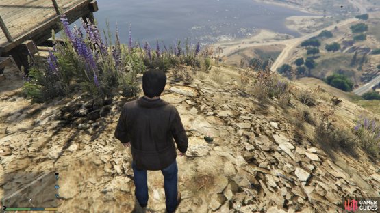 to find the this peyote plant sitting near the observation deck
