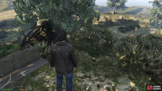 to find the peyote plant sitting by a bench. 
