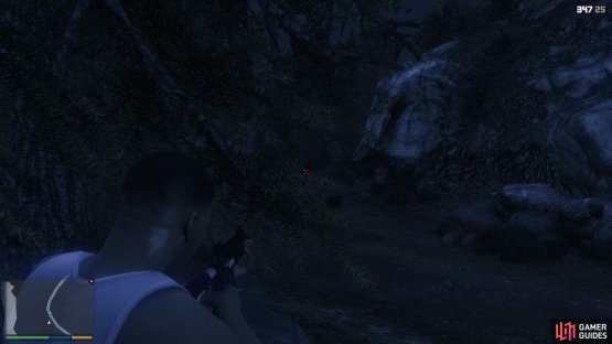 then wait for Chop to find the final target.