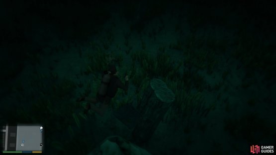 Genshin Impact Screenshot