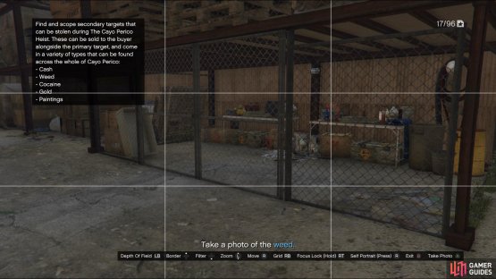 Look in the buildings at the North Dock to find Weed