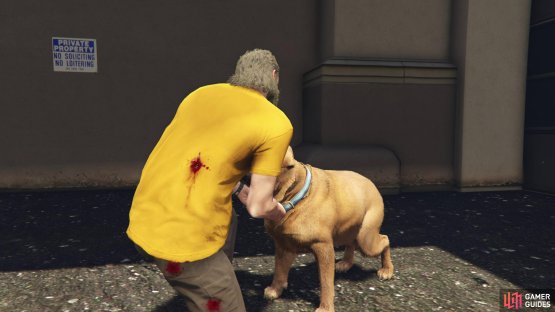 then chase the dog and collect it&rsquo;s collar.