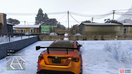 to find the Snowman standing in front a garden.