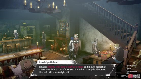 The info basically tells you that you don’t want to use Mages or Healers inside Belega Corridor.