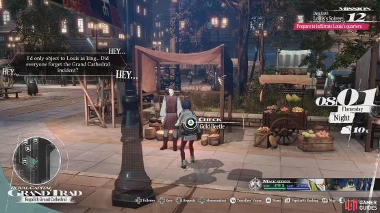 While the 22nd Gold Beetle can be found in Grand Trad&rsquo;s marketplace after talking to the Gold Beetle Trader for the first time.