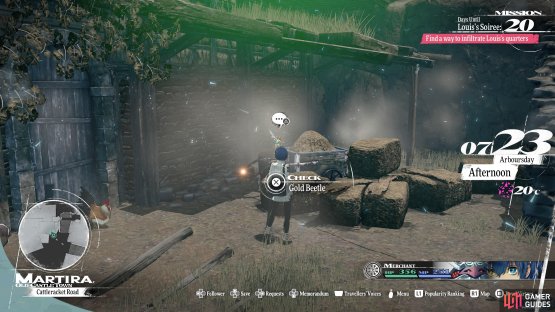 The 23rd Gold Beetle can be found in Martira&rsquo;s Cattleracket Road.