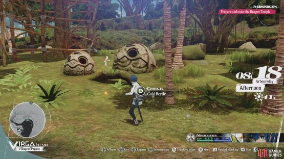 The 25th Gold Beetle is located just north of the Virga Island&rsquo;s Village of Pagans Inn.