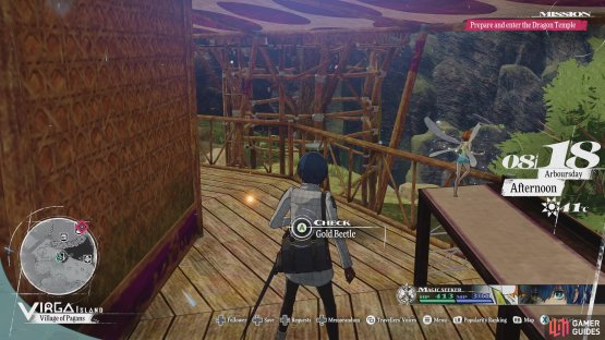 While the 26th Gold Beetle can be found behind the back of the Golden Deer Hearth Tavern.