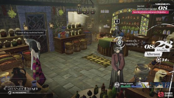 The 33rd Gold Beetle can be found in Grand Trad&rsquo;s General Store, in the corner on a day when the bags have been moved.