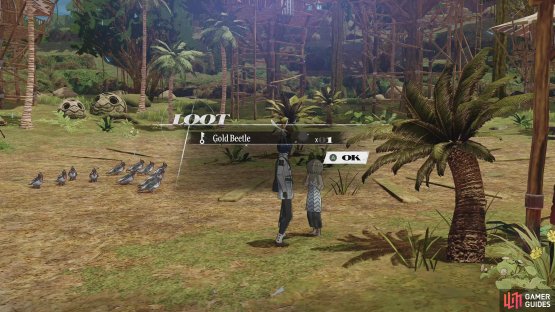 The 35th Gold Beetle can be obtained by speaking to the boy outside of the Virga Island&rsquo;s Inn after the events at the Dragon God Temple.