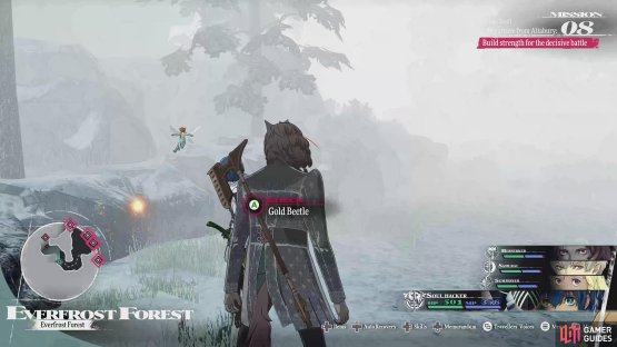 The 42 Gold Beetle is located in the southwest corner of Everfrost Forest.