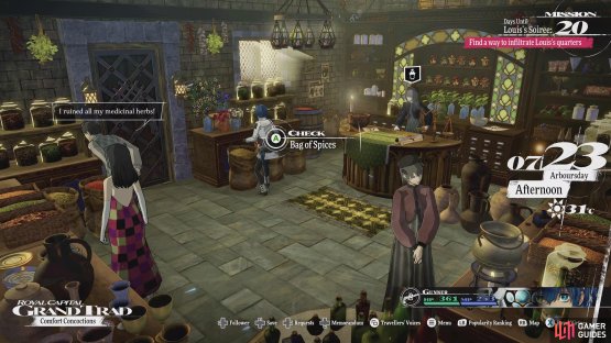 Search the Bag of Spices in the general store in Grand Trad for the fourth Gold Beetle.