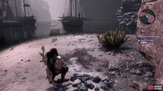 Collect some rocks