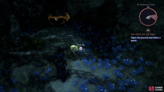 and note that new areas and treasures are now accessible in the Hossberg Wetlands.