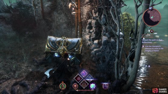 Don&rsquo;t forget to loot the Unique Chest after you defeat Amarell.