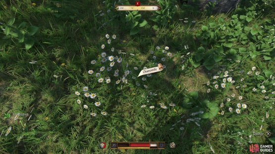 and Chamomile from the Bozhena&rsquo;s Meadow.