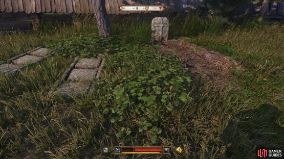 Then dig the grave near the widow&rsquo;s location and place the remains to end the Task.