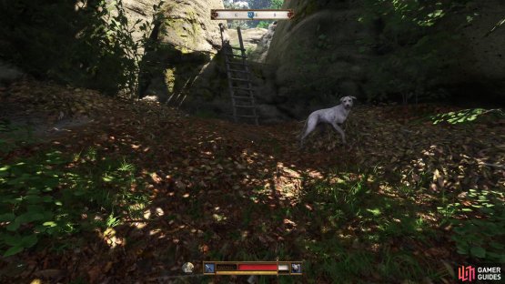 When you arrive, either kill Bristly or run past him and climb the ladder he guards.