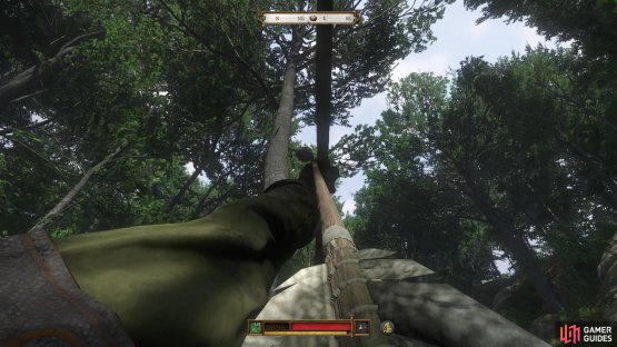 Higher nests, however, may require a bow or a crossbow.
